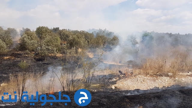 اندلاع حريق هائل في مكب نفايات قرب رهط 